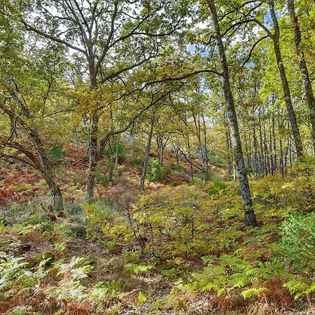 Apartamentos Rurales Entre Fuentes Cuacos De Yuste Exteriér fotografie
