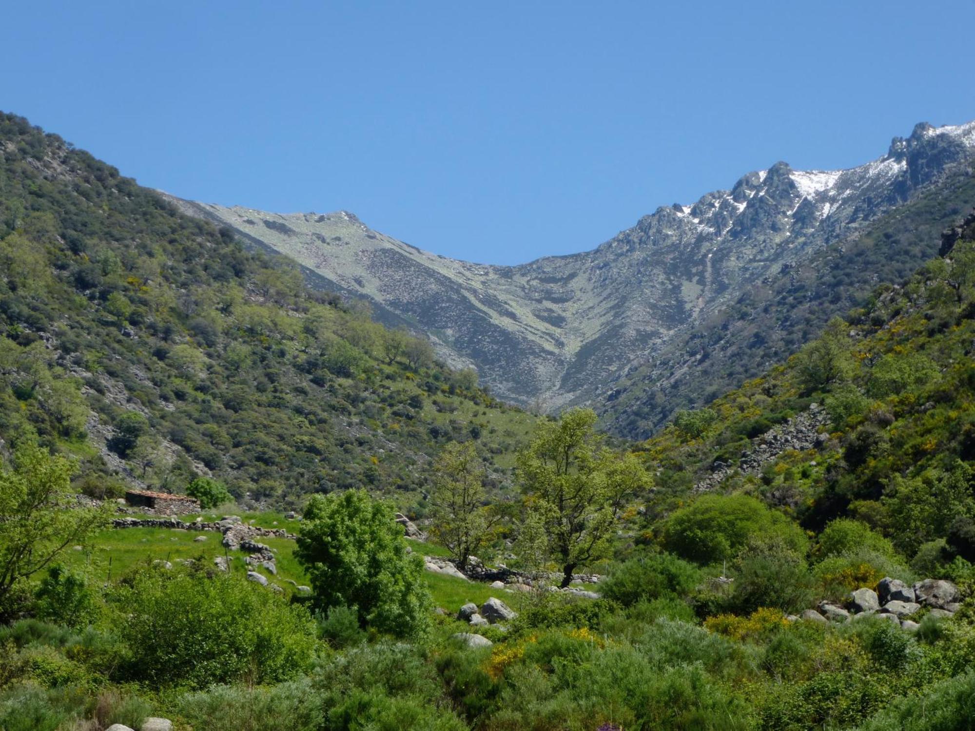 Apartamentos Rurales Entre Fuentes Cuacos De Yuste Exteriér fotografie