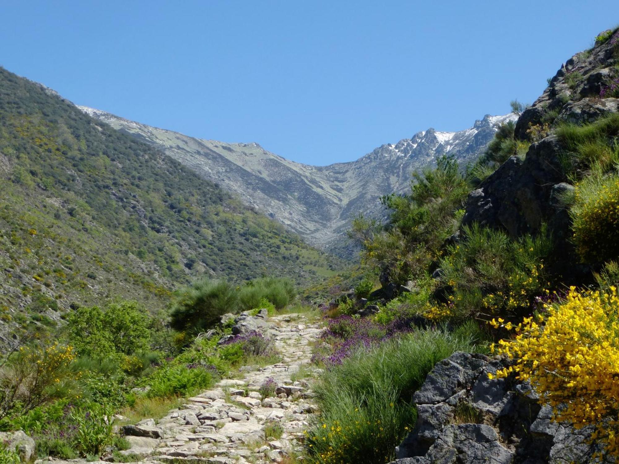 Apartamentos Rurales Entre Fuentes Cuacos De Yuste Exteriér fotografie