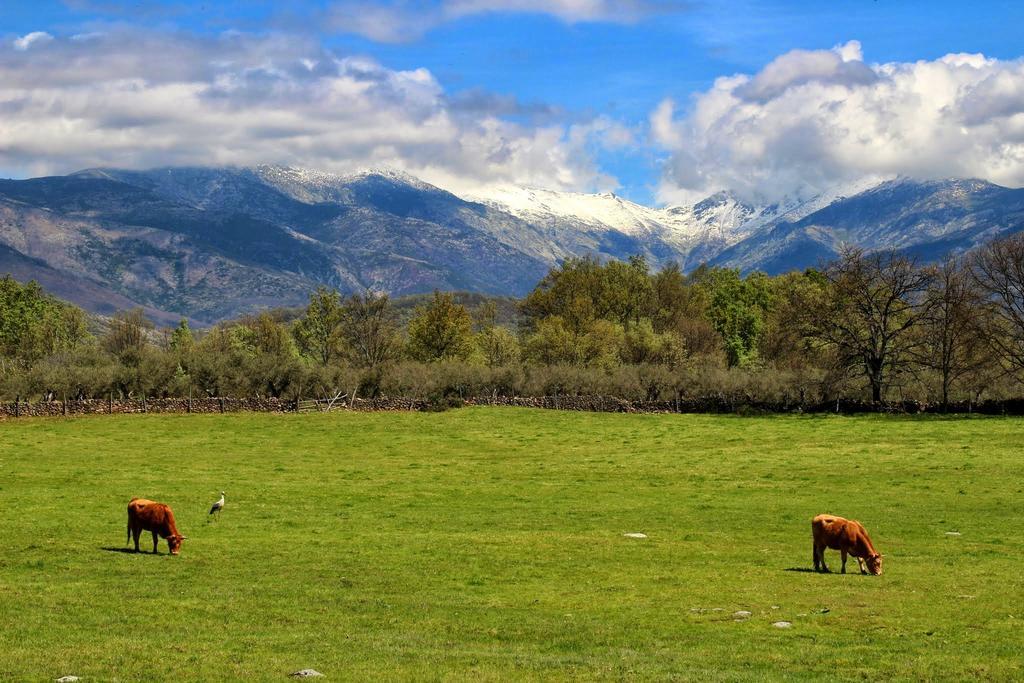 Apartamentos Rurales Entre Fuentes Cuacos De Yuste Exteriér fotografie