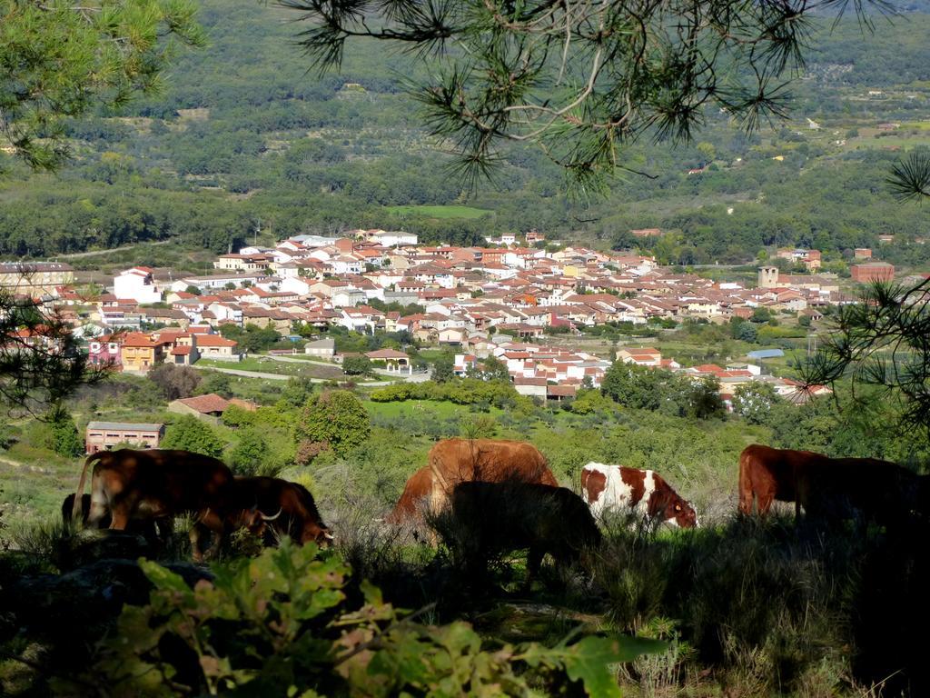 Apartamentos Rurales Entre Fuentes Cuacos De Yuste Exteriér fotografie